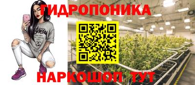 индика Балаково