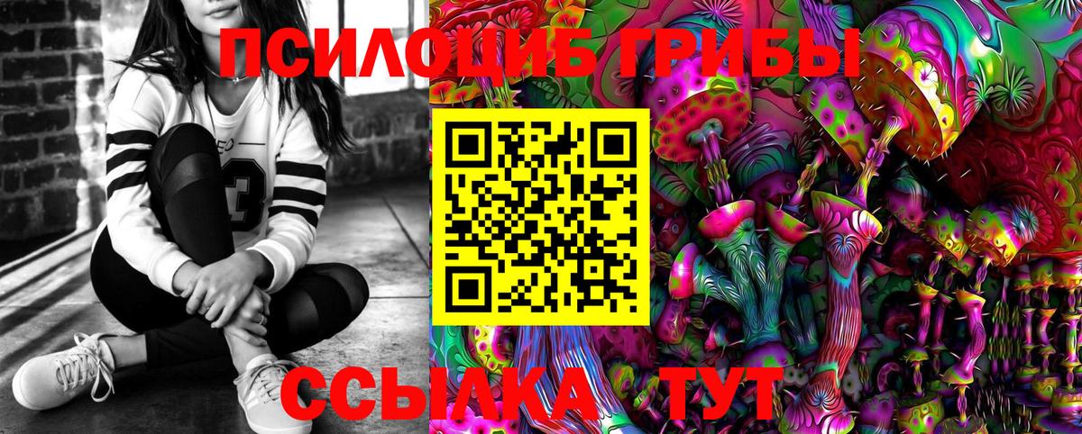 Галлюциногенные грибы Psilocybe Горно-Алтайск