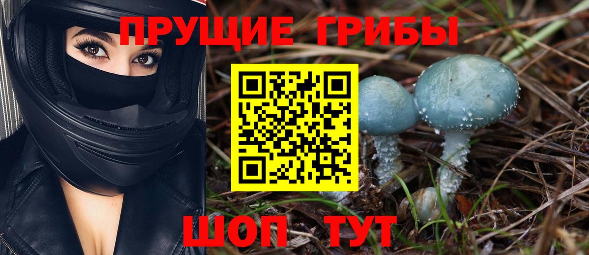 Горно-Алтайск  Галлюциногенные грибы GOLDEN TEACHER  Вход с VPN 